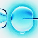 Inseminação artificial e Fertilização in vitro