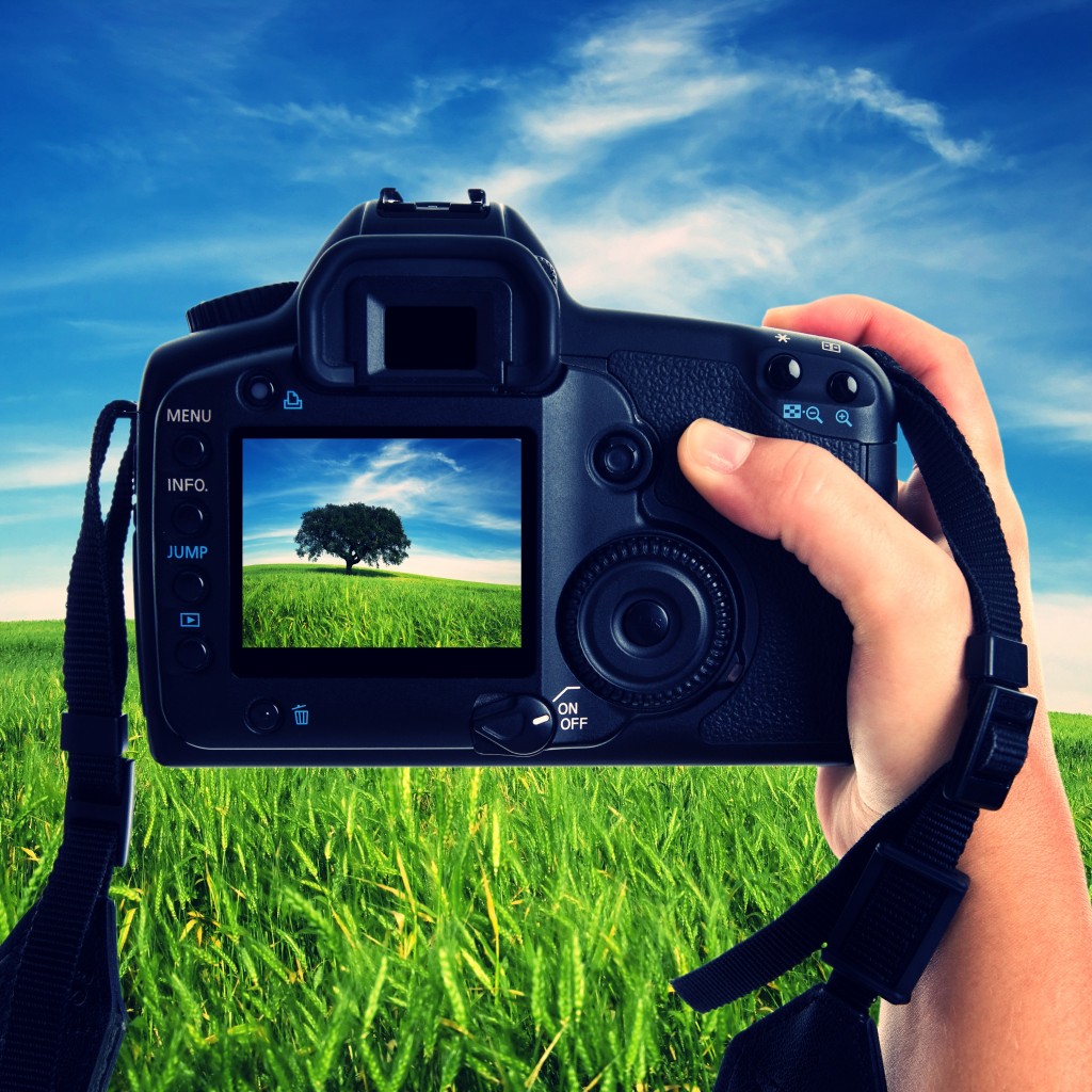 Woman photographing landscape with digital photo camera